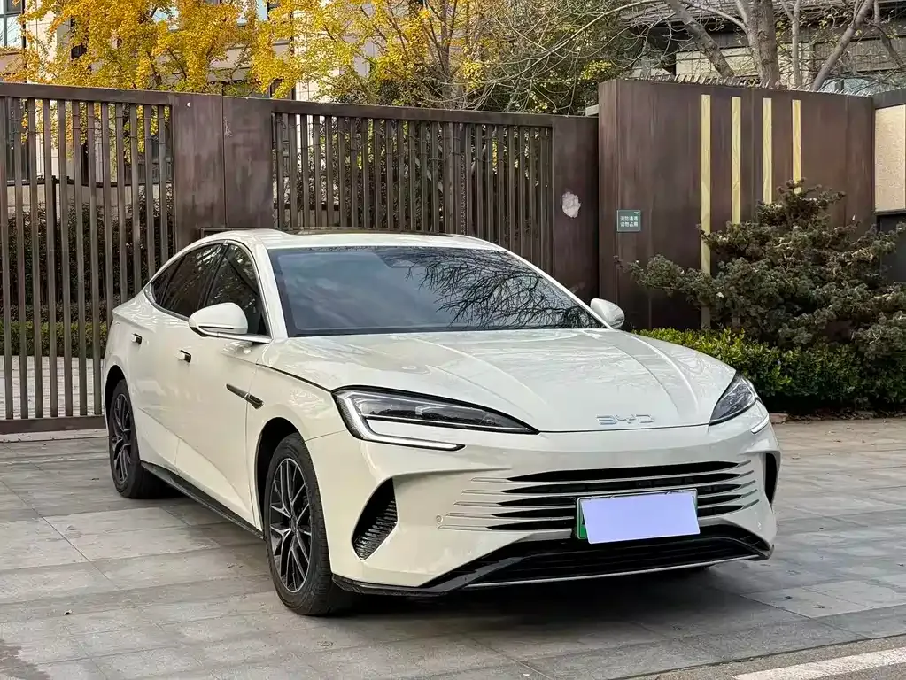 BYD Seal 07 DM-i 2025 из CN, фото 3