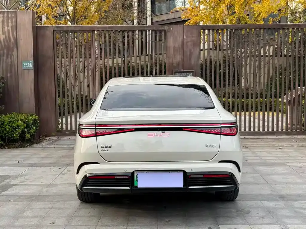 BYD Seal 07 DM-i 2025 из CN, фото 8
