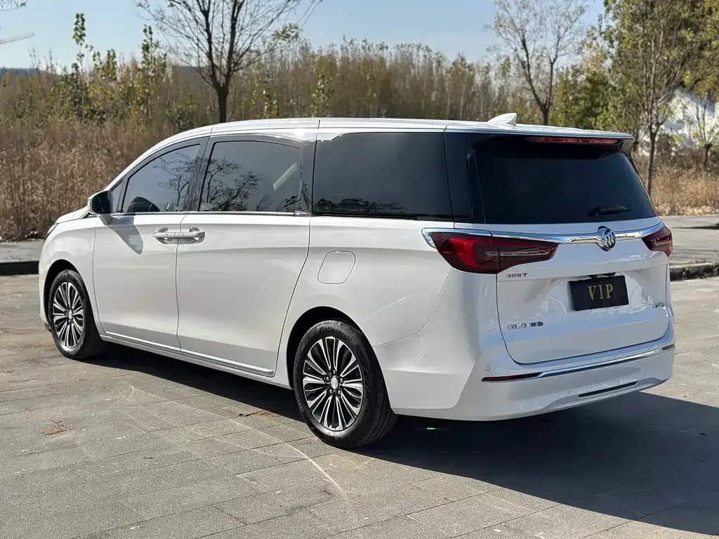 Buick GL8 2023 из CN, фото 6