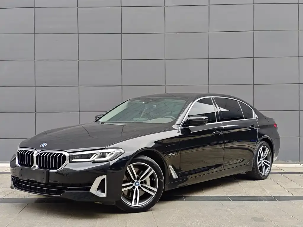 BMW 5 Series New Energy 2022 из CN, фото 1