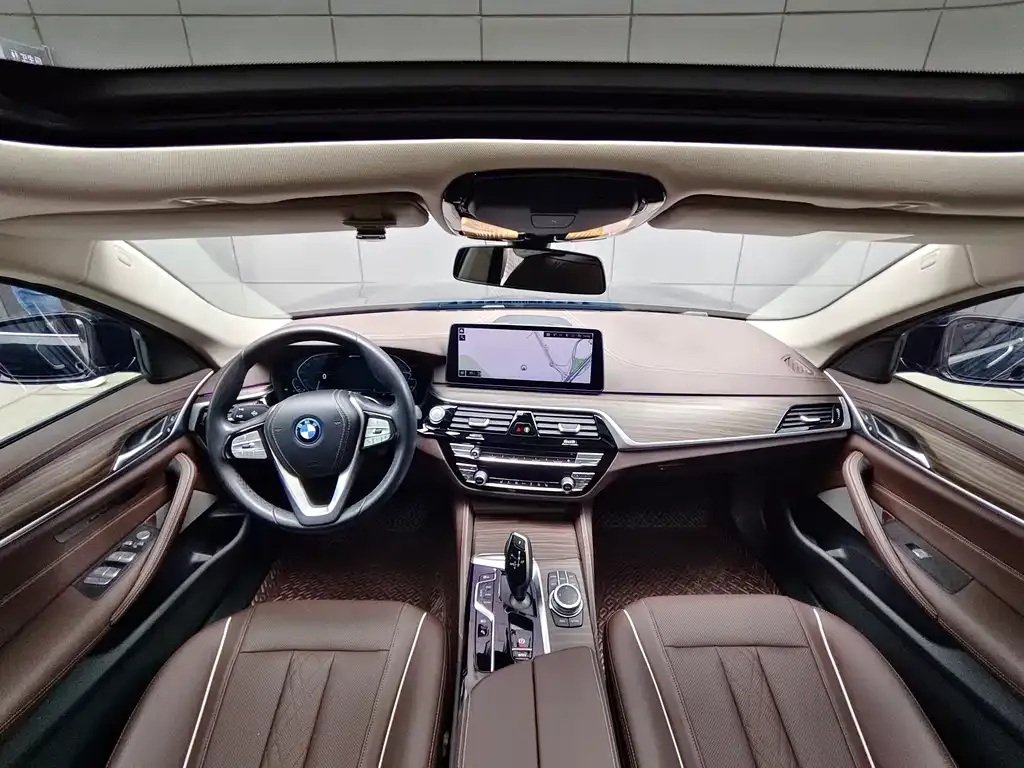 BMW 5 Series New Energy 2022 из CN, фото 8