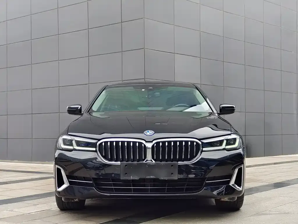 BMW 5 Series New Energy 2022 из CN, фото 9