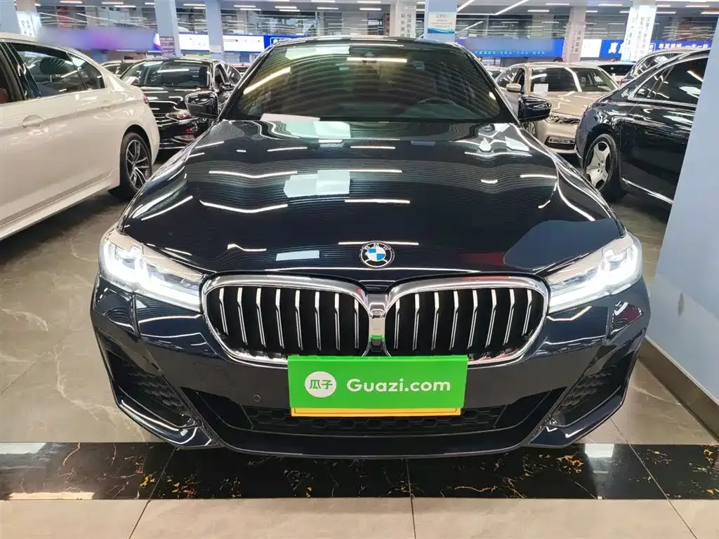 BMW 5 Series 2023 из CN, фото 3