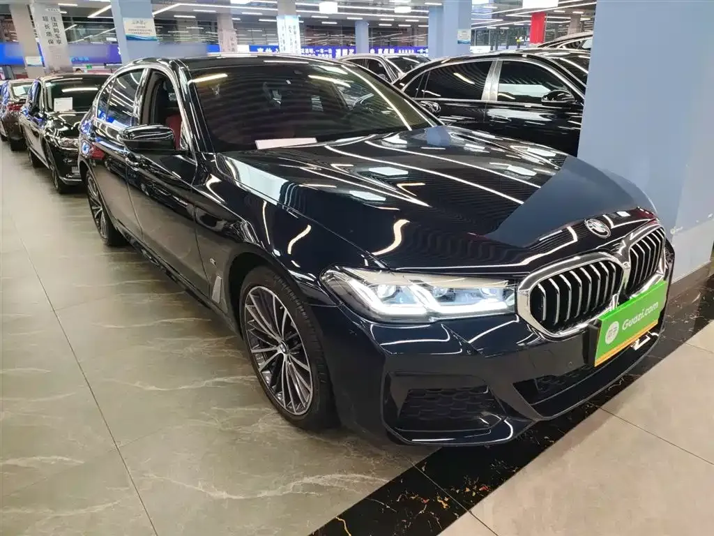BMW 5 Series 2023 из CN, фото 4