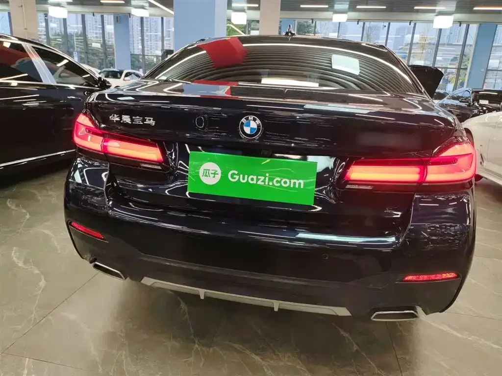 BMW 5 Series 2023 из CN, фото 6