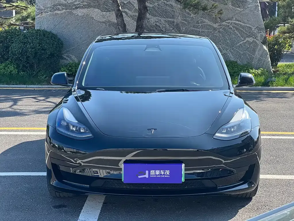 Tesla Model 3 2023 из CN, фото 2