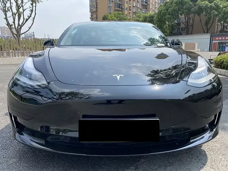 Tesla Model 3 2021 из CN, фото 2