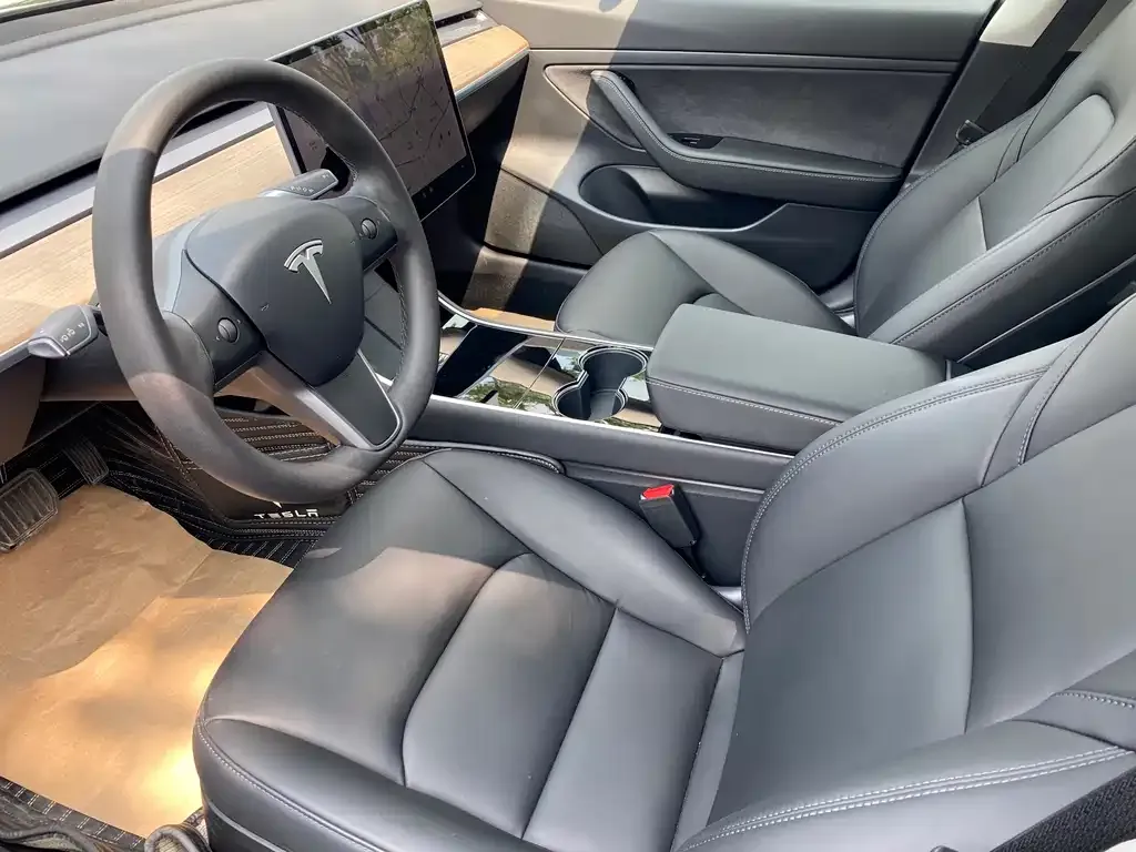 Tesla Model 3 2021 из CN, фото 4