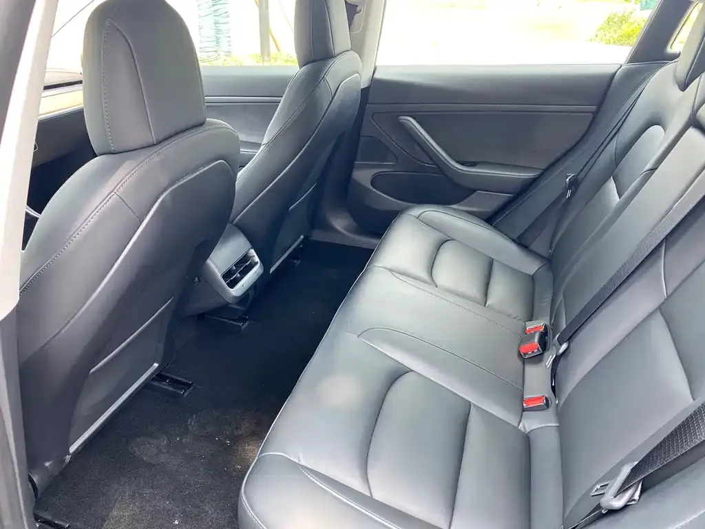 Tesla Model 3 2021 из CN, фото 7
