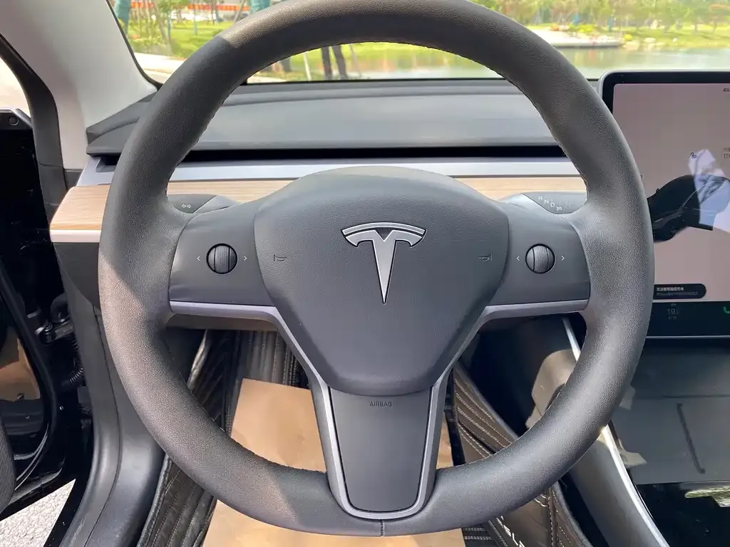 Tesla Model 3 2021 из CN, фото 9