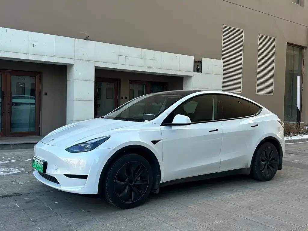 Tesla Model Y — фото 1