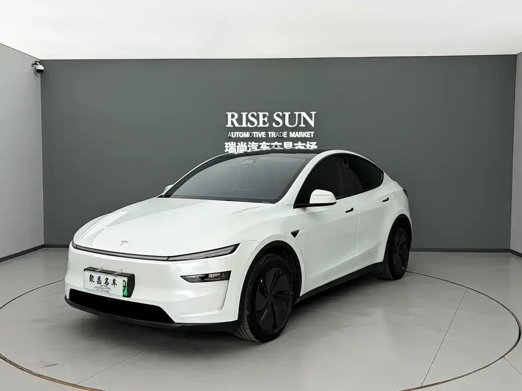 Tesla Model Y — фото 1