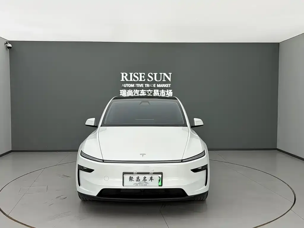 Tesla Model Y — фото 2