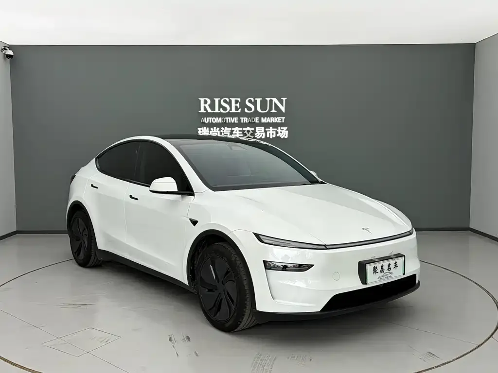 Tesla Model Y — фото 3