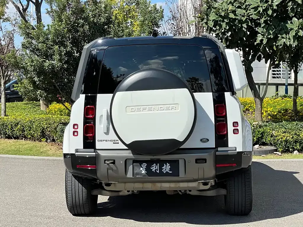 Land Rover Defender 2023 из CN, фото 6