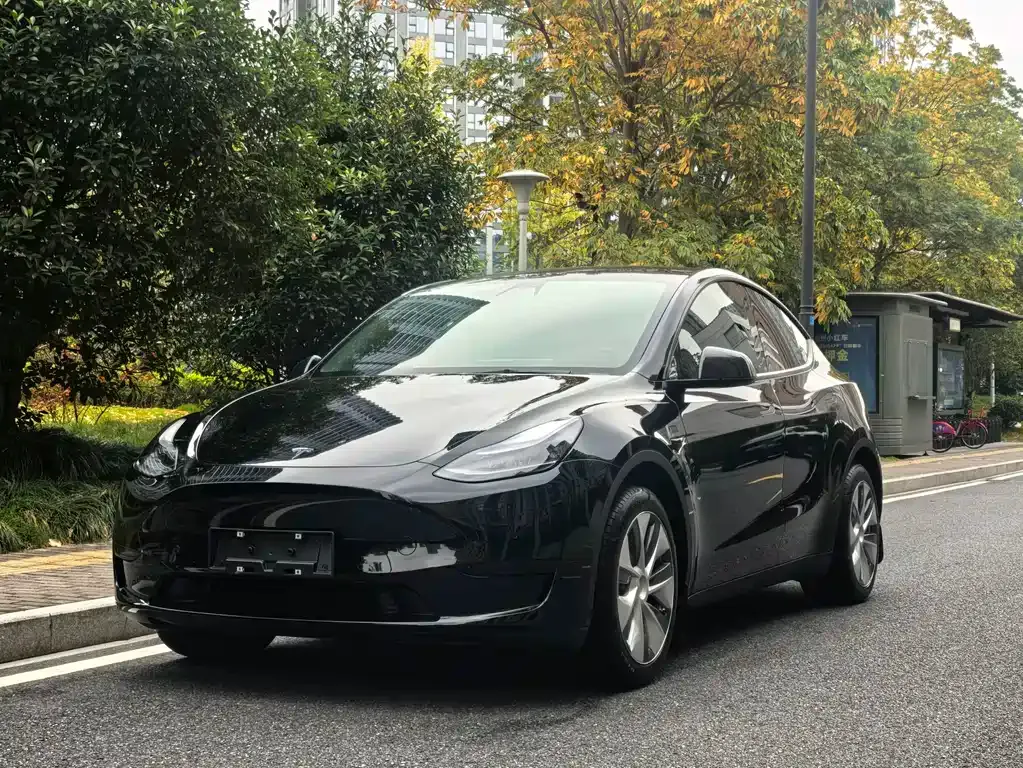 Tesla Model Y 2023 из CN, фото 1