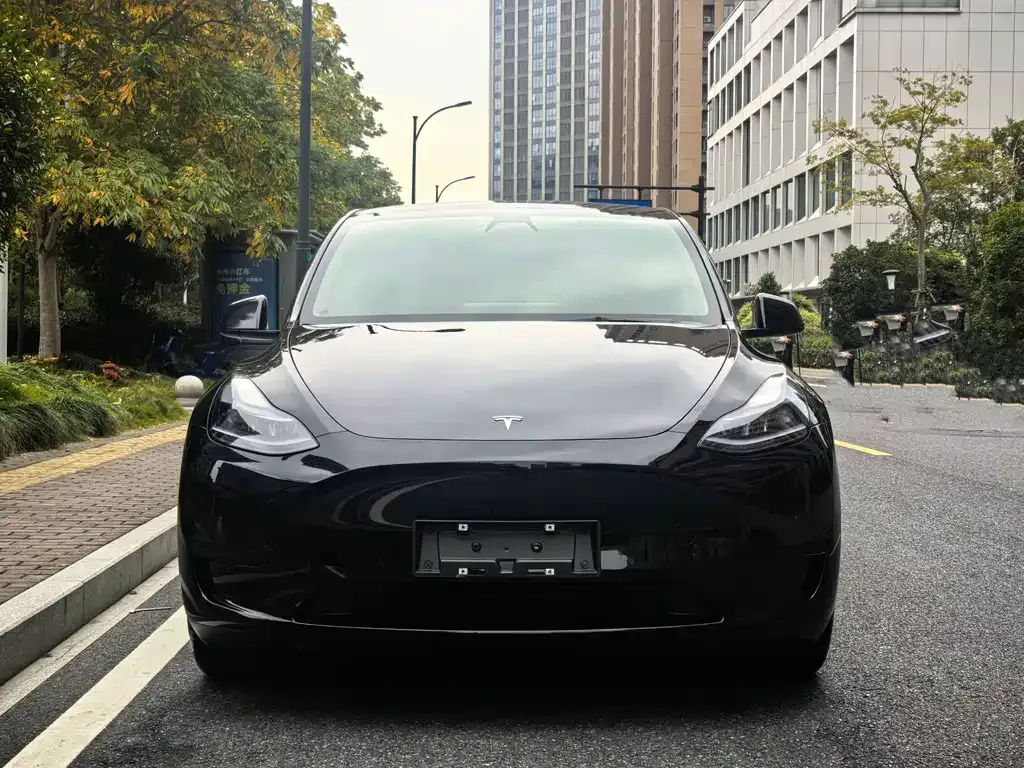Tesla Model Y 2023 из CN, фото 2