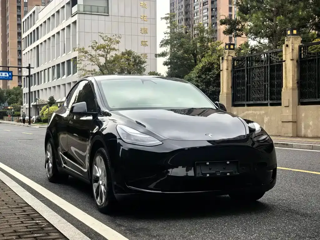 Tesla Model Y 2023 из CN, фото 3