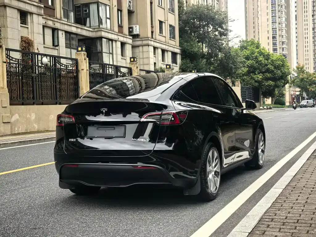 Tesla Model Y 2023 из CN, фото 4
