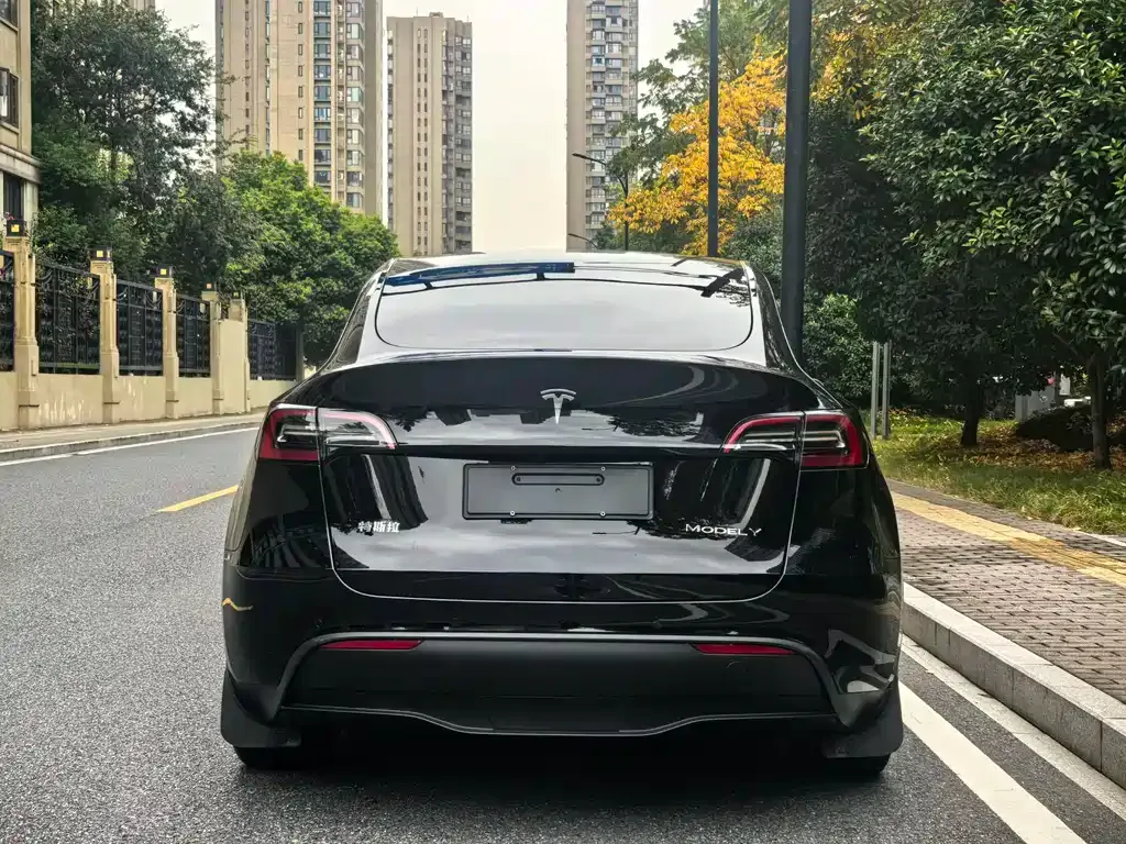 Tesla Model Y 2023 из CN, фото 5