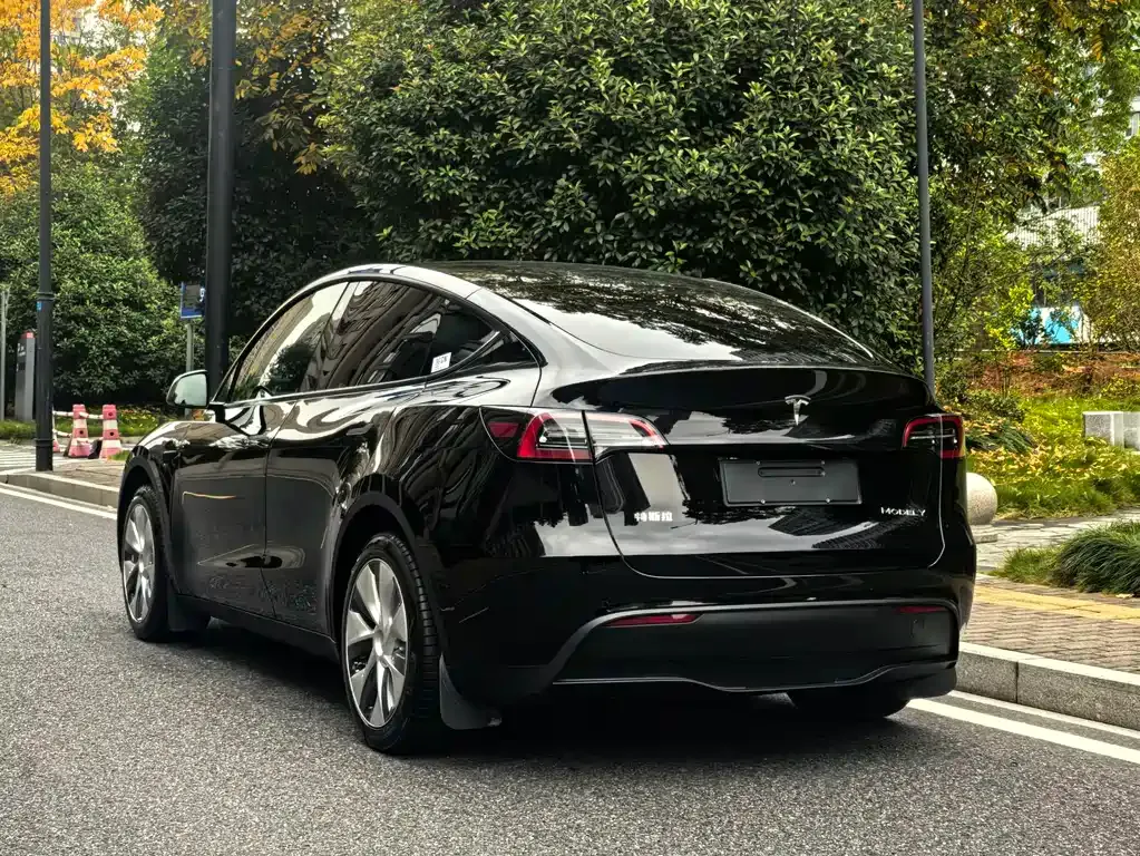 Tesla Model Y 2023 из CN, фото 6
