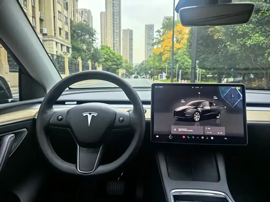 Tesla Model Y 2023 из CN, фото 7
