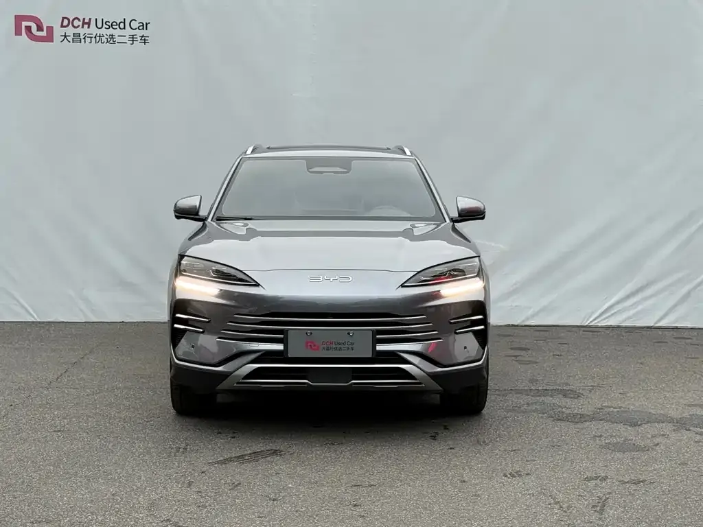 BYD PLUS New Energy 2025 из CN, фото 2