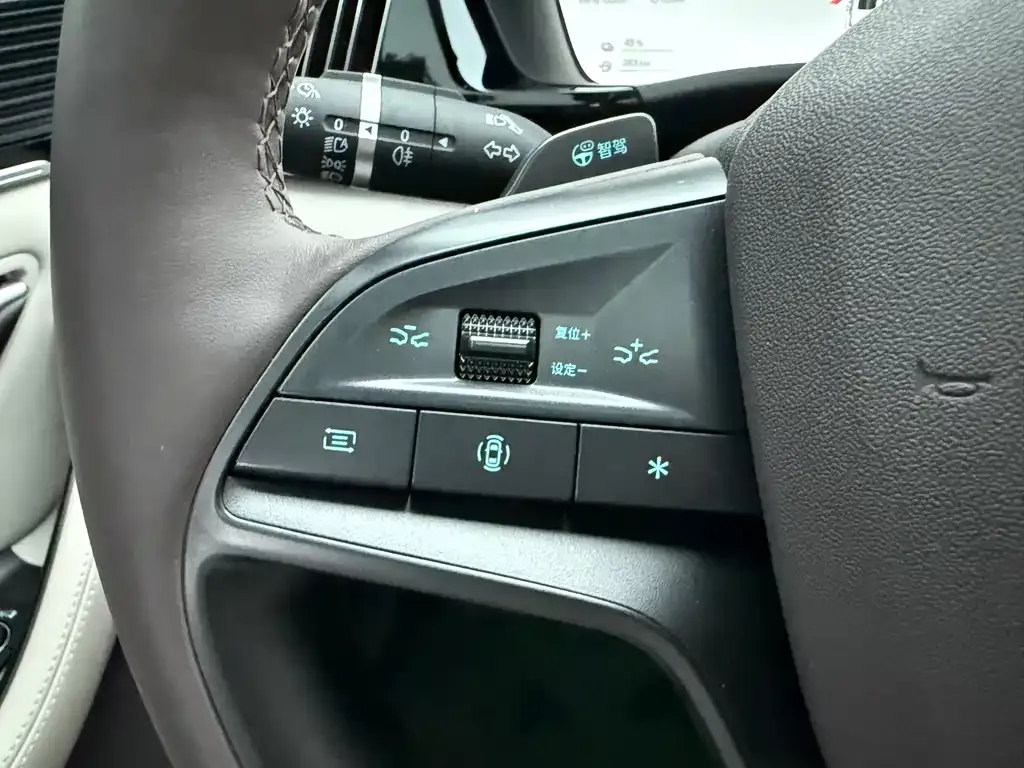 BYD PLUS New Energy 2025 из CN, фото 9