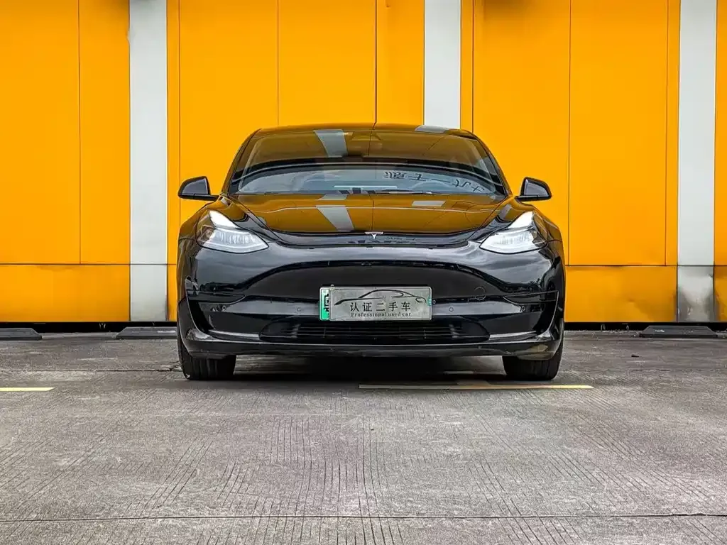Tesla Model 3 2022 из CN, фото 2