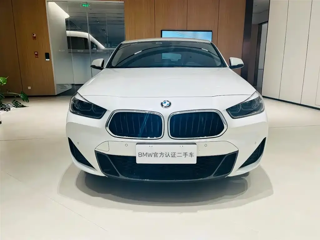 BMW X2 — фото 2