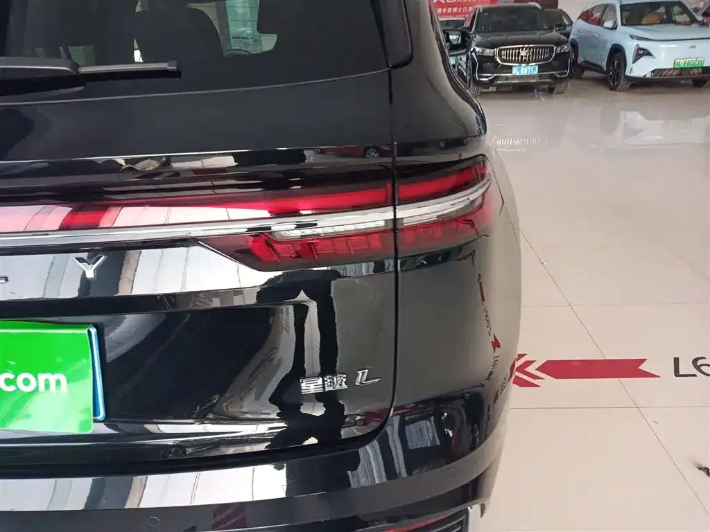 Geely Xingyue L 2024 из CN, фото 8