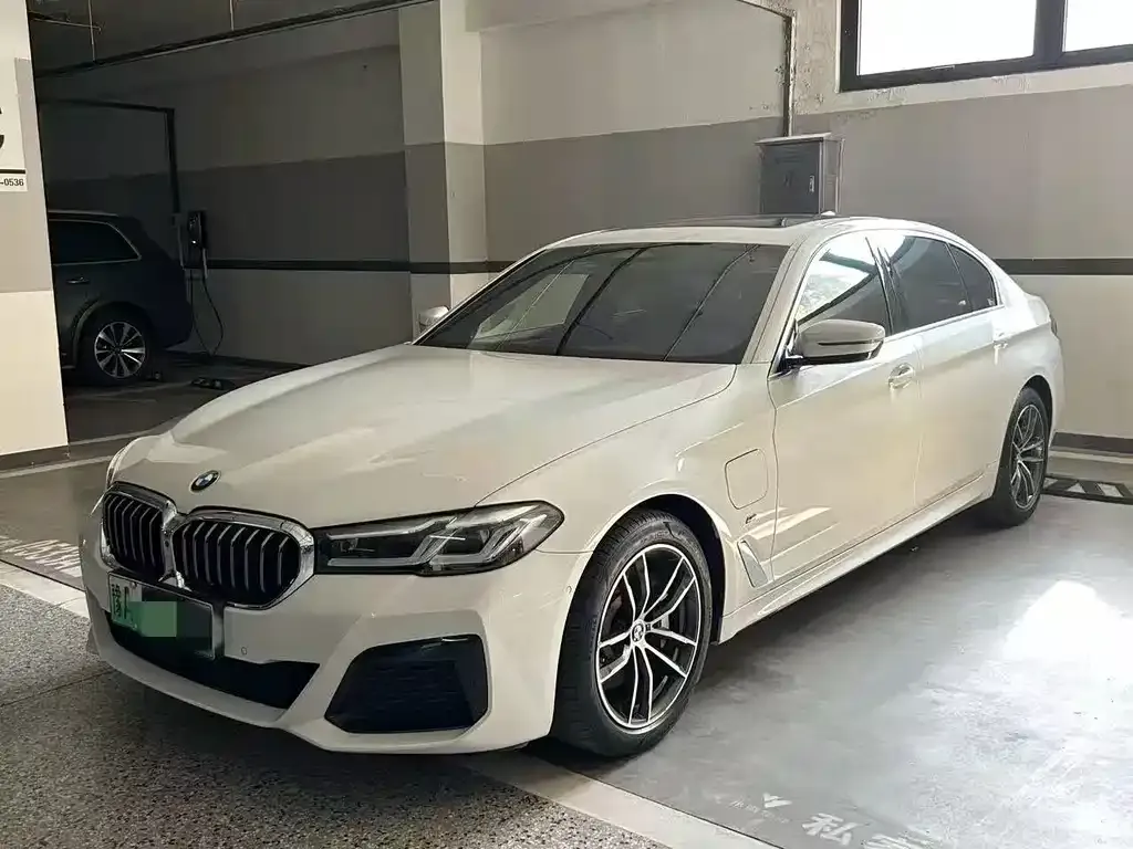 BMW 5 Series New Energy 2021 из CN, фото 1