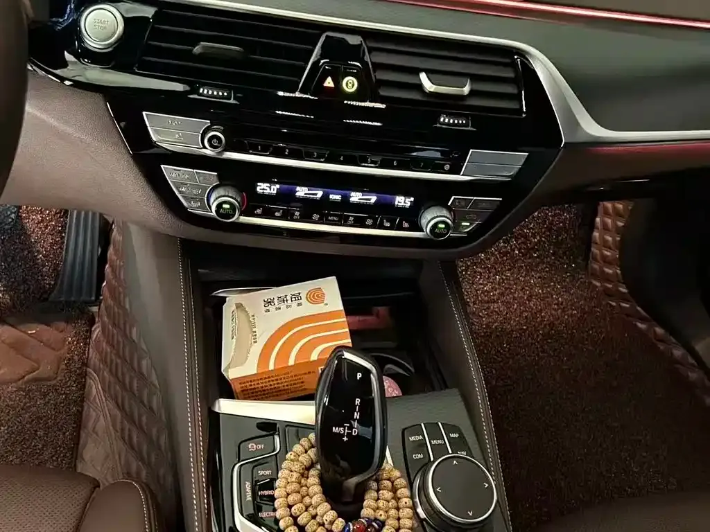 BMW 5 Series New Energy 2021 из CN, фото 3