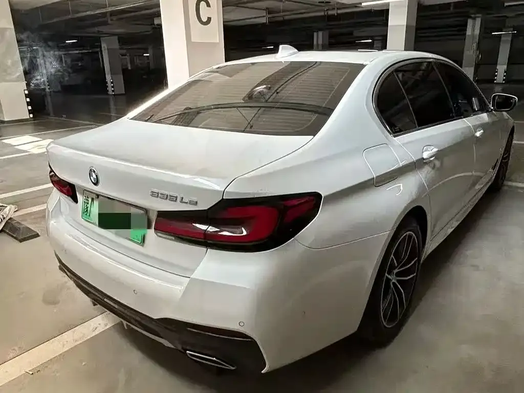 BMW 5 Series New Energy 2021 из CN, фото 4