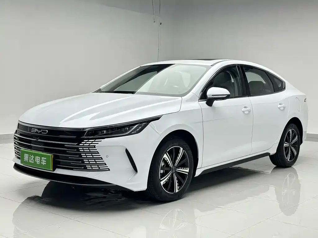 BYD Destroyer 05 2024 из CN, фото 1