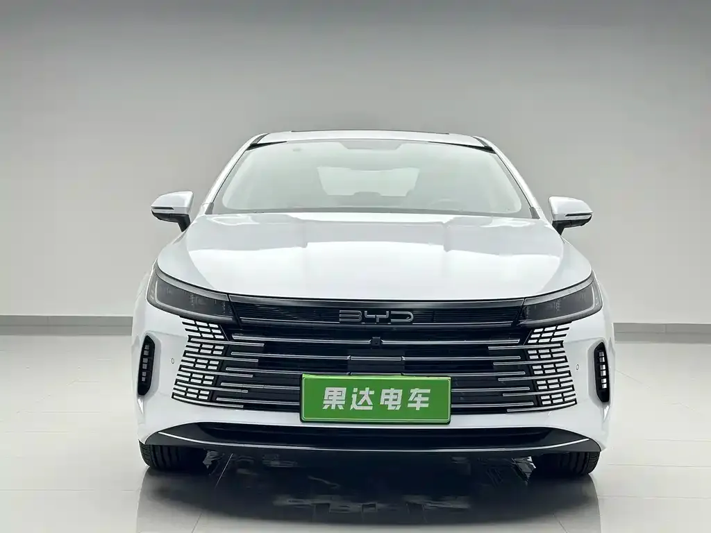 BYD Destroyer 05 2024 из CN, фото 2