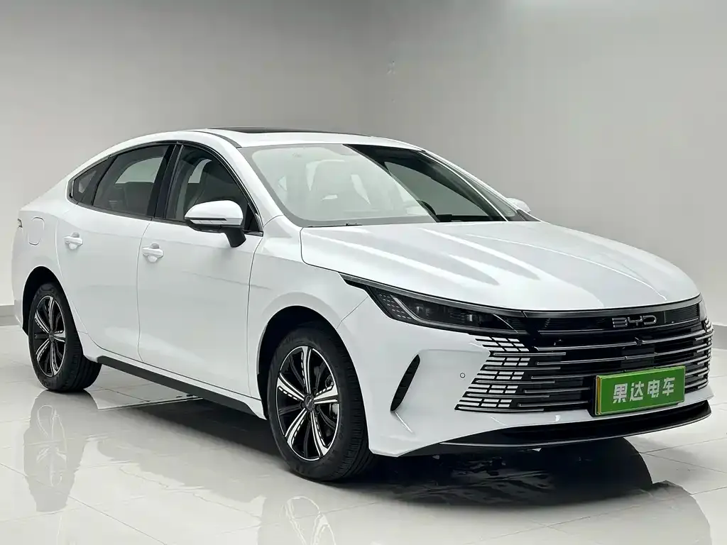 BYD Destroyer 05 2024 из CN, фото 3