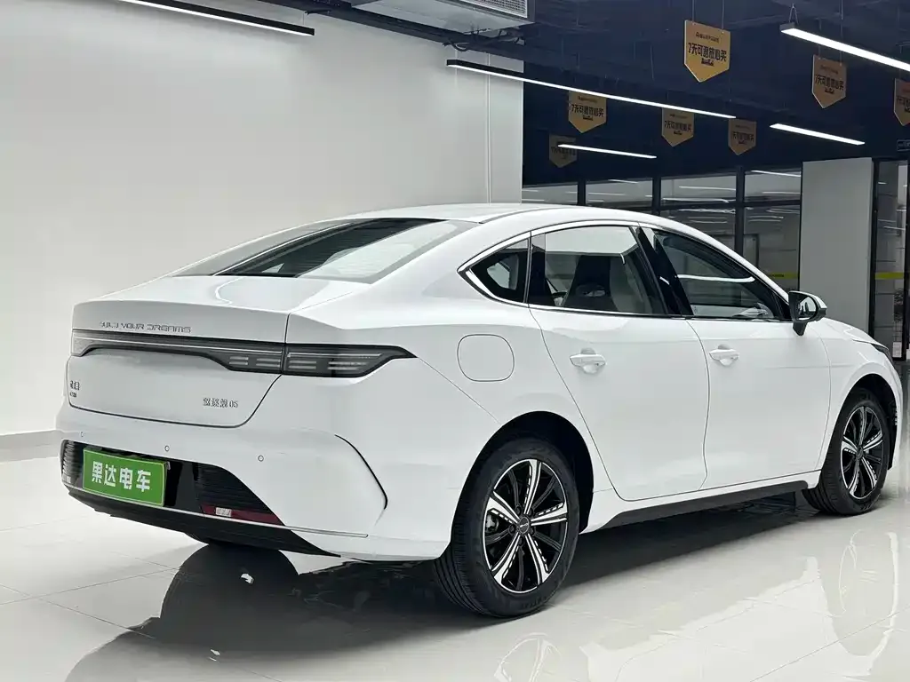 BYD Destroyer 05 2024 из CN, фото 4