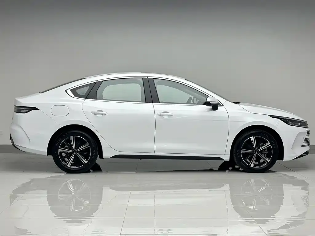 BYD Destroyer 05 2024 из CN, фото 6