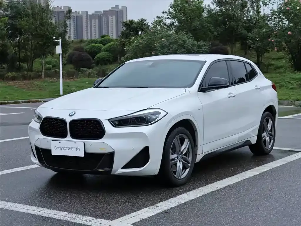 BMW X2 2023 из CN, фото 1