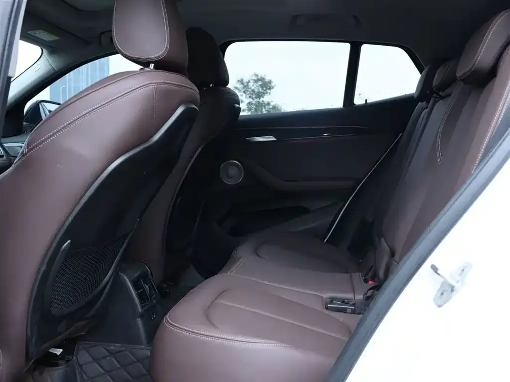 BMW X2 2023 из CN, фото 4