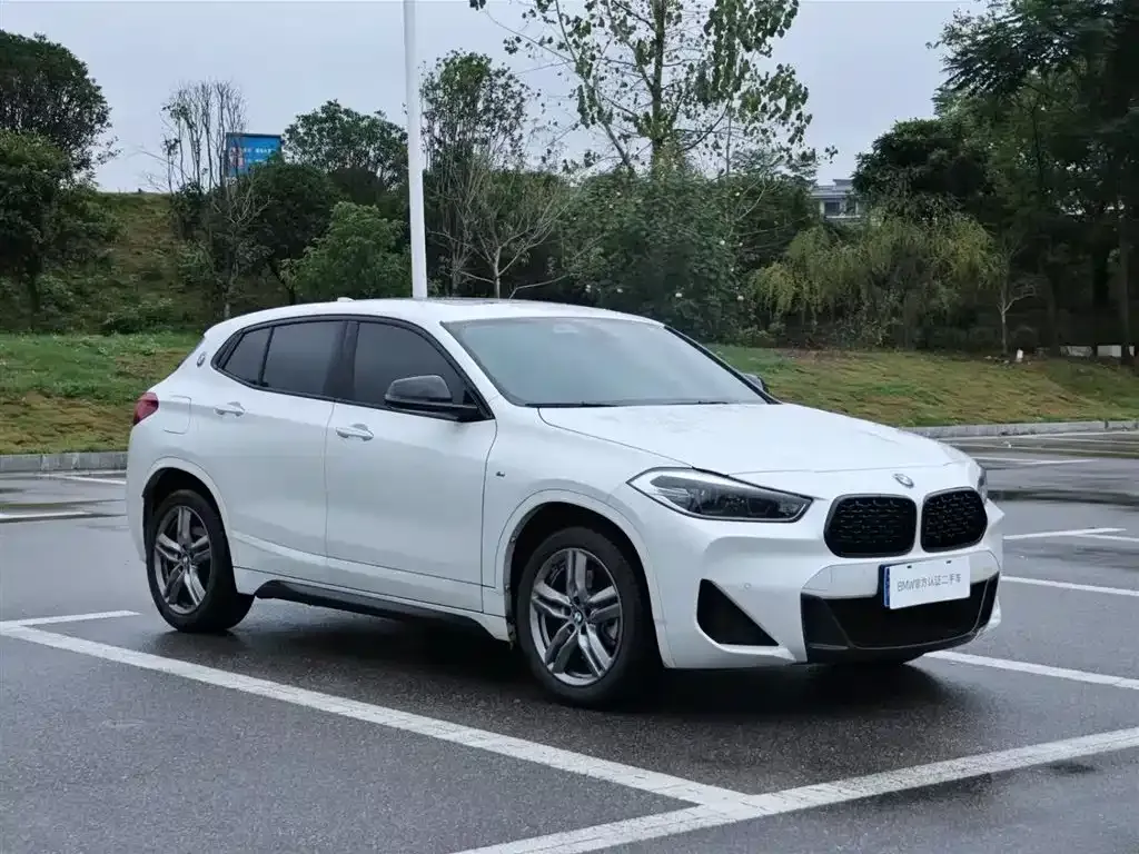 BMW X2 2023 из CN, фото 5