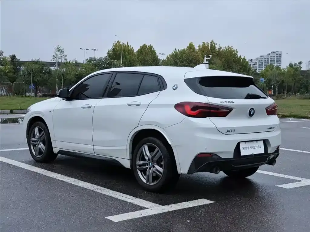 BMW X2 2023 из CN, фото 9