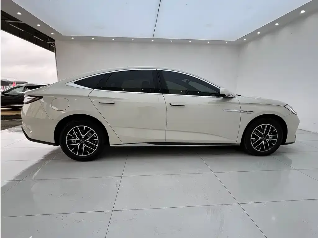 BYD Seal 07 DM-i 2025 из CN, фото 10