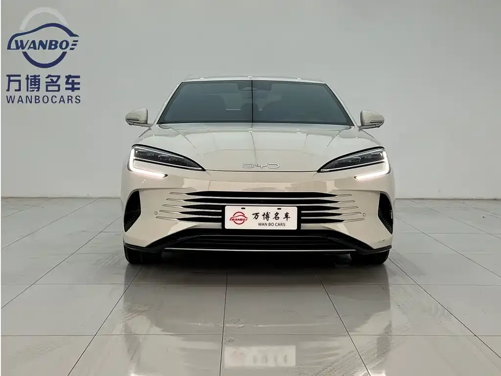 BYD Seal 07 DM-i 2025 из CN, фото 2