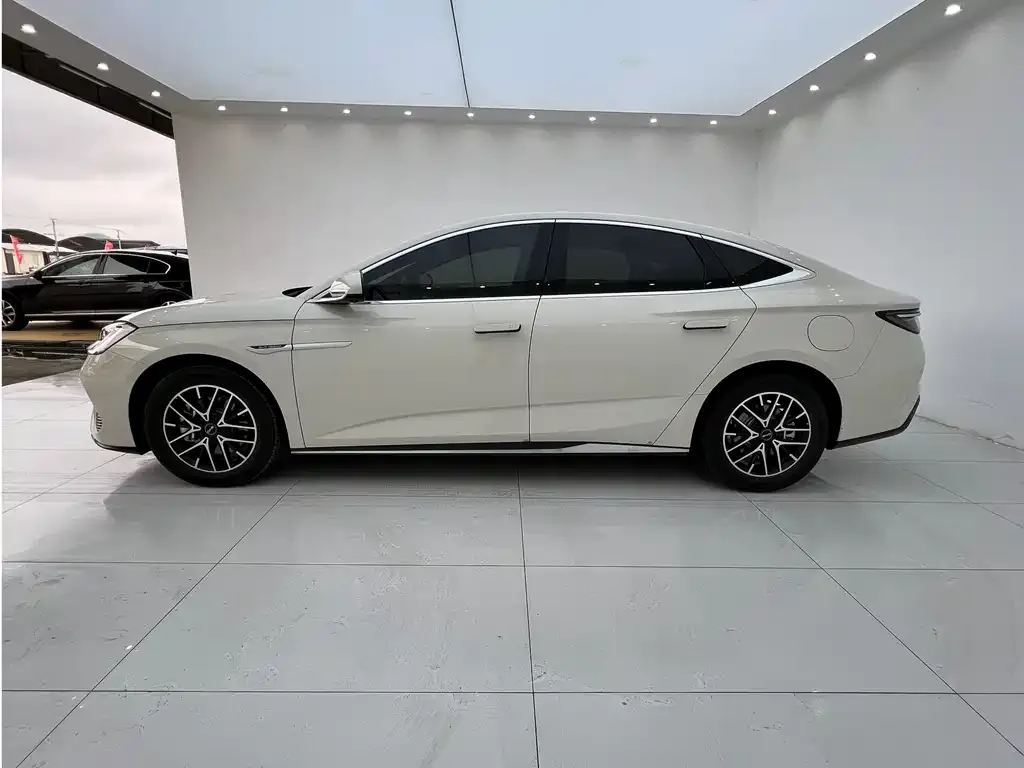 BYD Seal 07 DM-i 2025 из CN, фото 4