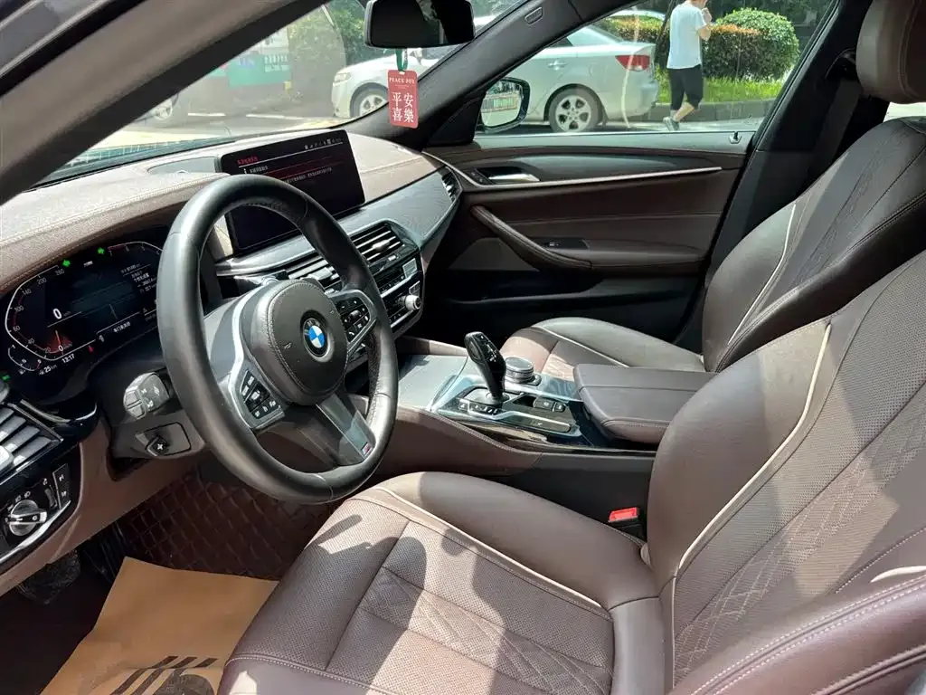 BMW 5 Series 2021 из CN, фото 4