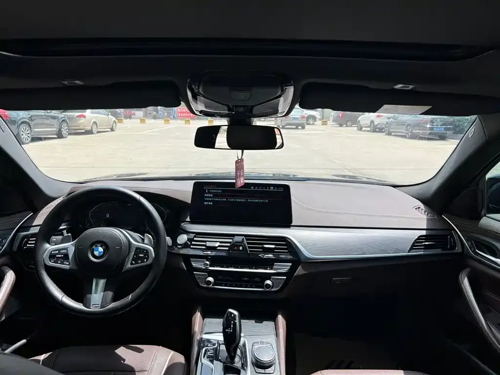 BMW 5 Series 2021 из CN, фото 6