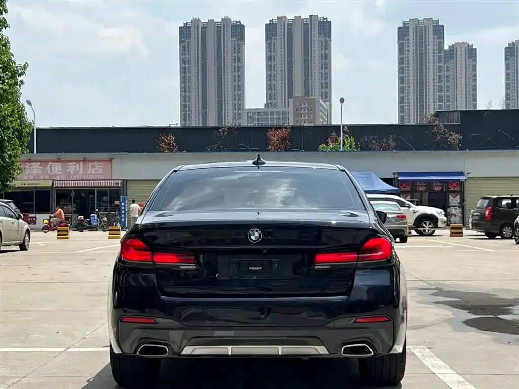 BMW 5 Series 2021 из CN, фото 8