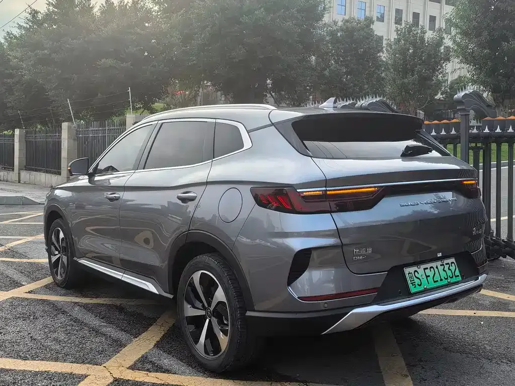 BYD PLUS New Energy 2023 из CN, фото 5
